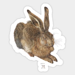 A Young Hare - Albrecht Durer Sticker